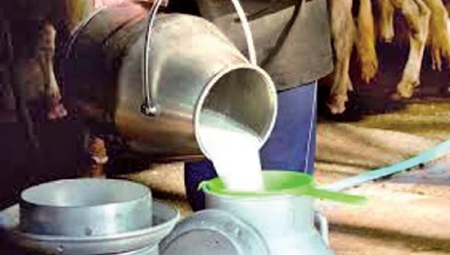 Maharashtra milk crisis