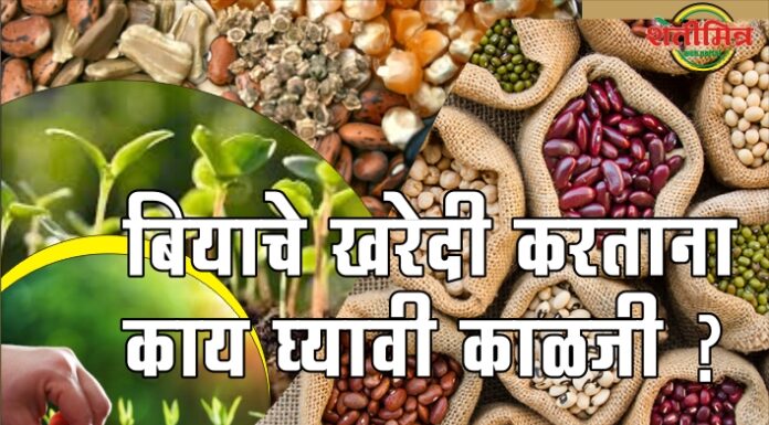 बियाणे खरेदी करताना कोणती काळजी घ्यावी…