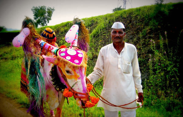 बैलपोळा