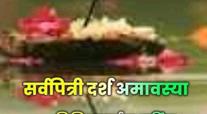 सर्वपित्री अमावास्येने आज मला सांगितला मोठा अर्थ!
