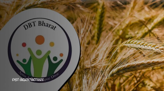 DBT Agriculture: बिहार सरकार बिहारमध्ये कृषी वित्त क्षेत्रात कशी क्रांती करत आहे |DBT Agriculture: How Bihar Government is revolutionizing agriculture finance in Bihar |
