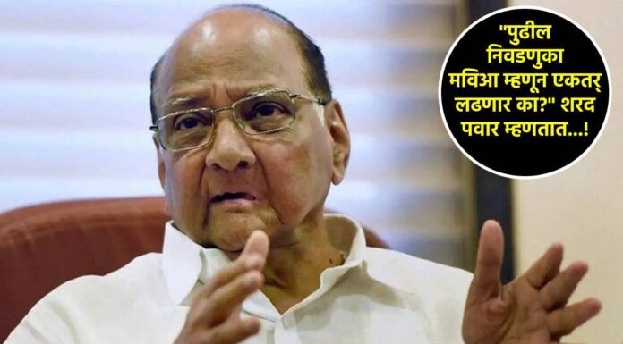मतांचा फरक न पडता MVA ने एकत्र काम केले पाहिजे: शरद पवार