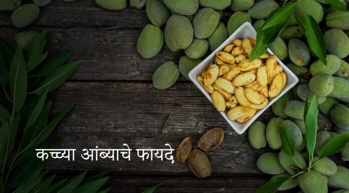 कच्चा आंब्याचे फायदे |Benefits of raw mangoes |