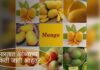 भारतात आंब्याच्या किती जाती आहेत? How many varieties of mango are there in India? भारतात आंब्याच्या किती जाती आहेत?