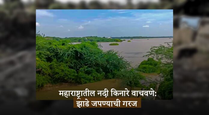 महाराष्ट्रातील नदी किनारे वाचवणे: झाडे जपण्याची गरज
