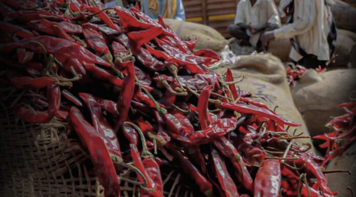 मोठ्या प्रमाणावर निर्यात मागणीमुळे मिरची गरम होते