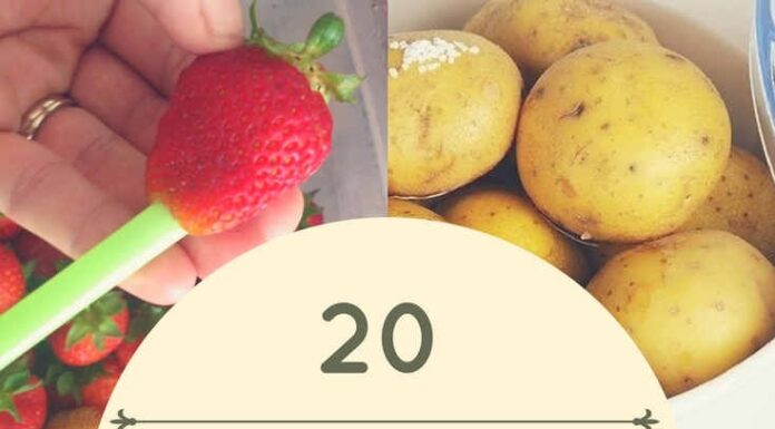 तुमचे जीवन सोपे करण्यासाठी 20 क्रिएटिव्ह किचन हॅक | 20 Creative Kitchen Hacks to Make Your Life Easier |
