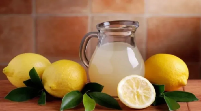 Cold Lemon Water:उन्हाळ्याच्या उष्णतेवर मात करण्यासाठी कोमट लिंबू पाणी पिणे खरोखर फायदेशीर आहे का?