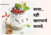दह्याचे महत्त्व: त्याचे पौष्टिक फायदे आणि पाककृतीचे अनावरण |The Vital Importance of Curd in Your Diet, 4 Rich Calciums दह्याचे महत्त्व