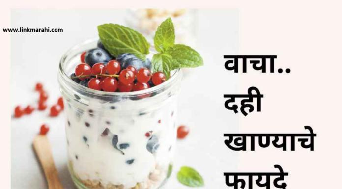 दह्याचे महत्त्व: त्याचे पौष्टिक फायदे आणि पाककृतीचे अनावरण |The Vital Importance of Curd in Your Diet, 4 Rich Calciums दह्याचे महत्त्व