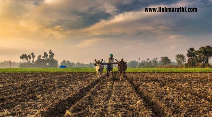 Monsoon is starting : पावसाळा सुरू होतोय, अशी घ्या शेतीची आणि जनावरांची काळजी, कृषी विभागाकडून महत्त्वाच्या टीप्स | Nurturing Growth: Essential Tips for Agriculture Care During the Rainy Season | Monsoon is starting