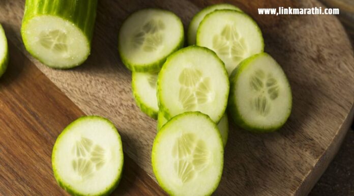 1.The Importance of Choosing Fresh, Green, and Chilled Cucumbers ताजी, हिरवी आणि थंडगार काकडी निवडण्याचे महत्त्व :to Avoid Food Poisoning|अन्न विषबाधा टाळण्यासाठी | Choosing Fresh, Green, and Chilled Cucumbers to Avoid Food Poisoning