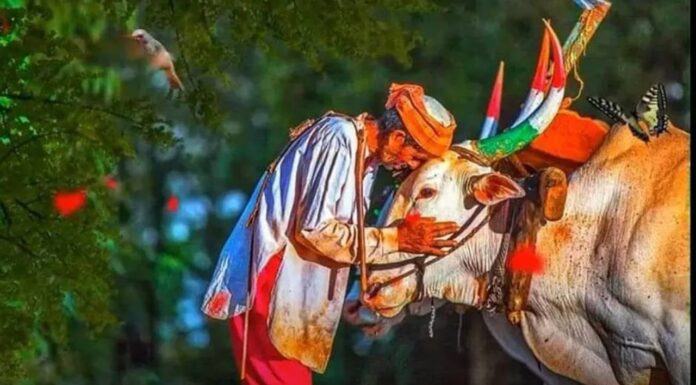 महाराष्ट्रीयन बेंदूर २०२३:कृतज्ञता आणि आनंदाचा महाराष्ट्राचा वैशिष्ट्यपूर्ण उत्सव|the Significance of Maharashtra’s Traditional Festival महाराष्ट्रीयन बेंदूर 2023
