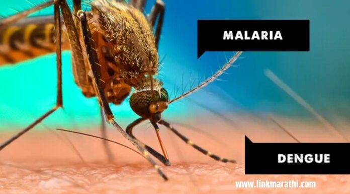 डेंग्यू आणि मलेरियापासून लवकर बरे होण्यासाठी 10 घरगुती उपाय | 10 Home Remedies for Quick Recovery from Dengue and Malaria | डेंग्यू आणि मलेरियापासून