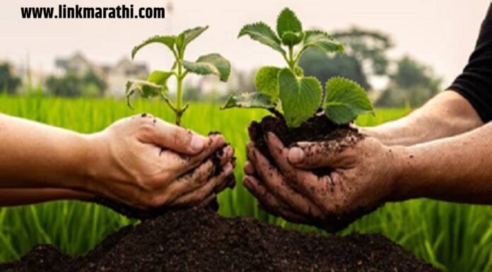 World Environment Day:जागतिक पर्यावरण दिन 2023: शाश्वत भविष्य | World Environment Day