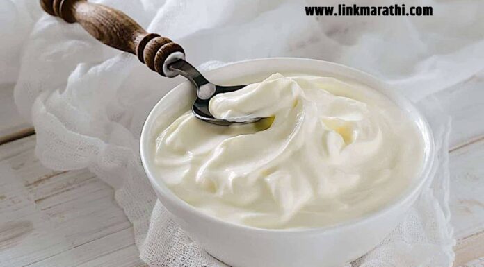 घरी परिपूर्ण दही कसे बनवायचे | How to Make Perfect Yogurt at Home | घरी परिपूर्ण दही कसे बनवायचे |