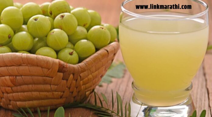 आवळ्याचे अविश्वसनीय आरोग्य फायदे | The Incredible Health Benefits of Gooseberries | आवळ्याचे अविश्वसनीय आरोग्य फायदे |