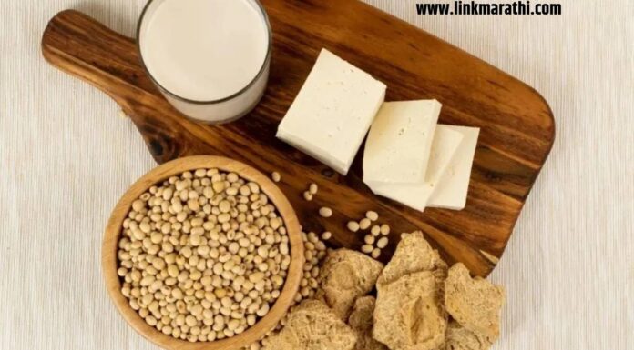 Vitamin B12 Veg Sources : व्हिटॅमिन बी 12 व्हेज स्रोत | Vitamin B12 Veg Sources :
