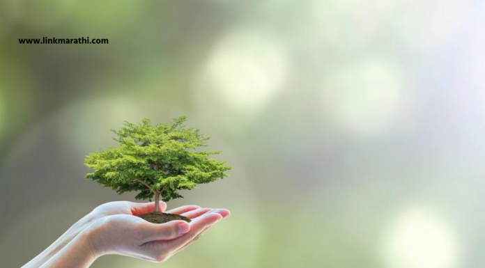 वन संवर्धन दिन 2023:येणाऱ्या पिढ्यांसाठी आपला नैसर्गिक वारसा जतन करणे|Preserving Our Natural Heritage for Generations to Come वन संवर्धन दिन 2023