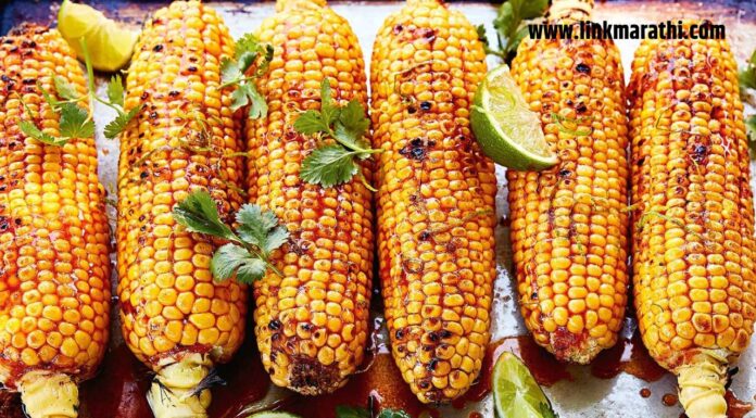 पावसाळ्यात मका खाण्याचे फायदे | Monsoon Special Health Benefits of Corn or Bhutta | पावसाळ्यात मका खाण्याचे फायदे |