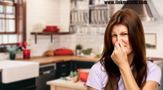 किचनमधून दुर्गंधी कशी दूर करावी: प्रभावी टिप्स आणि घरगुती उपचार | How to Get Rid of Bad Smell from the Kitchen: Effective Tips and Home Remedies | किचनमधून दुर्गंधी कशी दूर करावी: