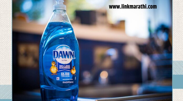 30 सर्वोत्कृष्ट डिश सोप हॅक ज्यांची तुम्हाला जाणीव असणे आवश्यक आहे | 30 The Best Dish Soap Hacks You Need to Be Aware Of | 30 सर्वोत्कृष्ट डिश सोप हॅक ज्यांची तुम्हाला जाणीव असणे आवश्यक आहे | 30 The Best Dish Soap Hacks You Need to Be Aware Of |