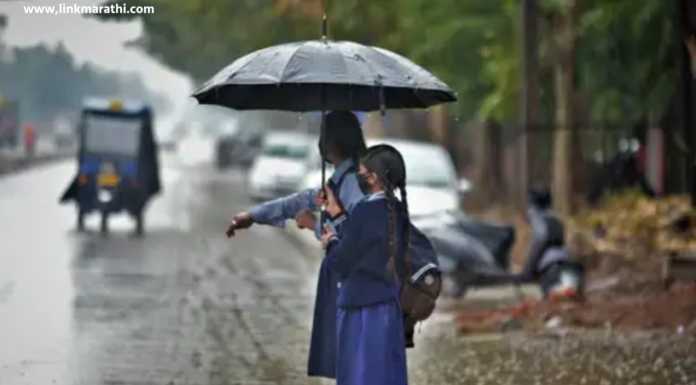 Heavy Rain:मुसळधार पावसामुळे राज्यातील शाळा बंद|Schools Closed in State due to Heavy Rain Heavy Rains