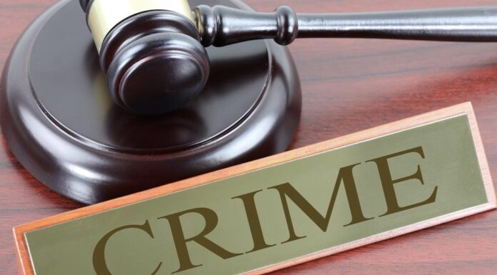 लेकाला काळजी, दोन दिवस झाले आई फोनवर येत नाही,येऊन पाहातो तर घरामागे पुरलेला मृतदेह | The boy is worried, it’s been two days since the mother does not answer the phone, she comes and sees the dead body buried behind the house | घरामागे पुरलेला मृतदेह