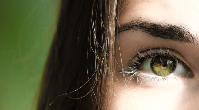 Eye Health:स्वच्छ दृष्टीसाठी 5 इनडोअर प्लांट्स|5 Indoor Plants for Clear Eyesight Eye Health