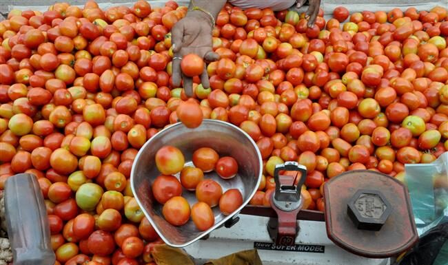 Tomato price:पेट्रोलपेक्षाही टोमॅटोच्या दरात वाढ,मुंबईकर प्रति किलोग्राम किती पैसे देत आहेत?|Tomato price hike more than petrol tomato price