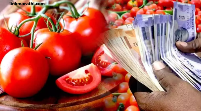 टोमॅटोच्या किमतीत वाढ:सर्वसामान्यांच्या बजेटवर परिणाम आणि ३०० रुपये प्रति किलोग्रॅमपर्यंत पोहोचण्याची शक्यता|Tomato price hike: Impact on common man’s budget and likely to touch Rs 300 per kg टोमॅटोच्या किमतीत वाढ