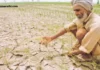 Maharashtra Rain Updates:शेतकऱ्यांमध्ये वाढती चिंता, हवामान खात्याने मुख्य माहिती दिली|Growing Concerns among Farmers, Weather Department Provides Key Insights Maharashtra Rain Updates