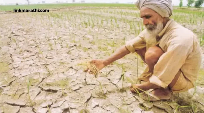 Maharashtra Rain Updates:शेतकऱ्यांमध्ये वाढती चिंता, हवामान खात्याने मुख्य माहिती दिली|Growing Concerns among Farmers, Weather Department Provides Key Insights Maharashtra Rain Updates