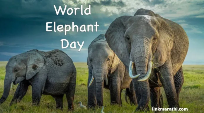 Celebrating World Elephant Day 2023:जैवविविधतेत हत्तींची महत्त्वाची भूमिका|Important role of elephants in biodiversity Celebrating World Elephant Day 2023