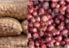 Onion Market:नाफेड कांदा खरेदी पुन्हा सुरू करणार,केंद्रीय मंत्री भारती पवार यांची योजना;शेतकऱ्यांना मोठा दिलासा!|Nafed will resume onion purchase, Union Minister Bharti Pawar’s plan; big relief for farmers! Onion Market