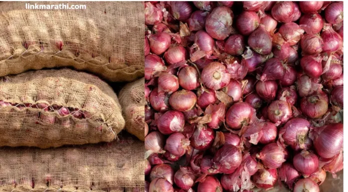 Onion Market:नाफेड कांदा खरेदी पुन्हा सुरू करणार,केंद्रीय मंत्री भारती पवार यांची योजना;शेतकऱ्यांना मोठा दिलासा!|Nafed will resume onion purchase, Union Minister Bharti Pawar’s plan; big relief for farmers! Onion Market