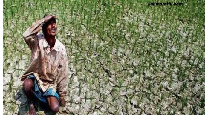 शेती संघर्ष:पावसाची भेट बळीराजाच्या अश्रूत;फुलंब्रीतील हजारो हेक्टरवरील पीक धोक्यात|Rain’s Gift Turns into Balaraja’s Tears: Thousands of Hectares in Fulambri Grapple with Crop Threats शेती संघर्ष