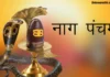 Nag Panchami 2023:नागपंचमी साजरी करण्याच्या मनोरंजक पद्धती|Interesting ways to celebrate Nagpanchami Nag Panchami 2023