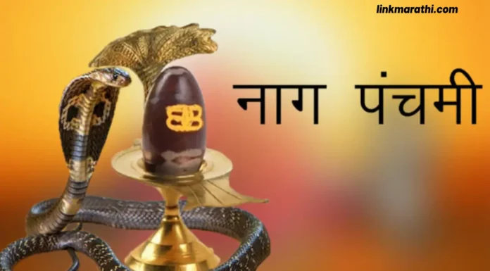 Nag Panchami 2023:नागपंचमी साजरी करण्याच्या मनोरंजक पद्धती|Interesting ways to celebrate Nagpanchami Nag Panchami 2023