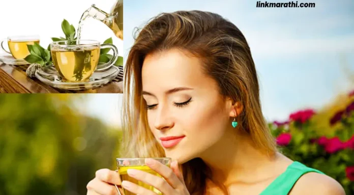 Green Tea Side Effects:वजन कमी करण्याच्या प्रयत्नात ग्रीन टीचे जास्त सेवन करता का? जाणून घ्या साइड इफेक्ट्स|Consuming too much green tea in an attempt to lose weight? Know the side effects Green Tea Side Effects
