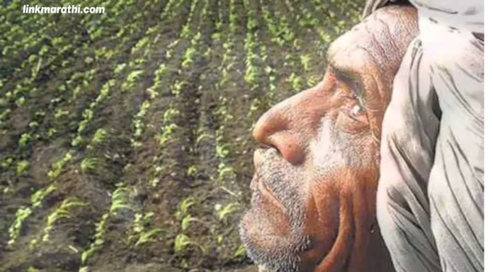 Agricultural Crisis:बळीराजाची भीषण परिस्थिती;पावसाने दडी मारल्याने पिकांचे नुकसान|Baliraja’s dire situation; crops damaged by rain Agricultural Crisis