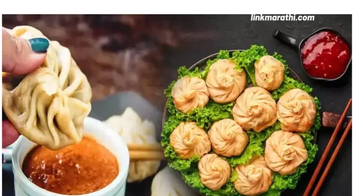 Momos And Health:मोमोजचे संभाव्य आरोग्य जोखीम तुम्हाला माहित असणे आवश्यक आहे|Possible Health Risks of Momos You Must Know Momos And Health