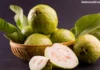 Guava Benefits:पेरूचे ५ फायदे जे तुम्हाला कधीच माहित नव्हते|5 Benefits of Guava You Never Knew Guava Benefits