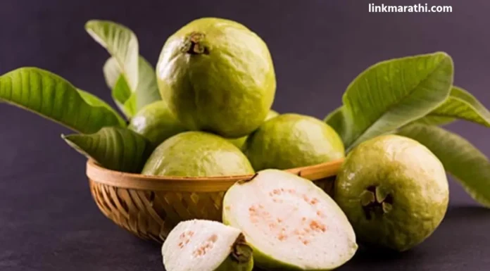 Guava Benefits:पेरूचे ५ फायदे जे तुम्हाला कधीच माहित नव्हते|5 Benefits of Guava You Never Knew Guava Benefits