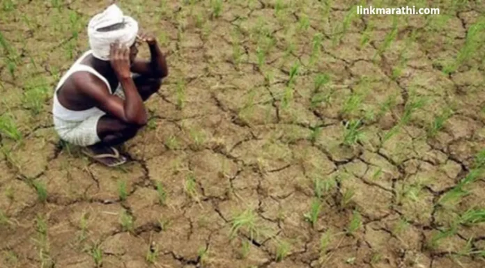 Agriculture News:मान्सूनच्या प्रकोपामुळे संकटग्रस्त जिल्ह्यातील ३२१ शेतकऱ्यांना आर्थिक दिलासा|Financial relief to 321 farmers in distressed district due to monsoon outbreak Agriculture News