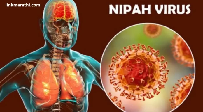 Nipah Virus Alert:कोविड-19 नंतर निपाह व्हायरस केरळमध्ये पुन्हा उद्भवला;हाय अलर्ट जारी|Nipah virus re-emerges in Kerala after Kovid-19;high alert issued Nipah Virus Alert