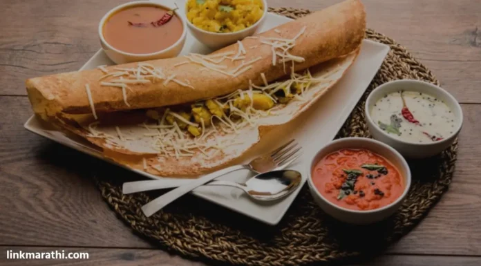 Dosa Varieties:हे 5 प्रकारचे डोसे तुमच्या आरोग्यासाठी योग्य आहेत!|These 5 types of dosas are perfect for your health! Dosa Varieties