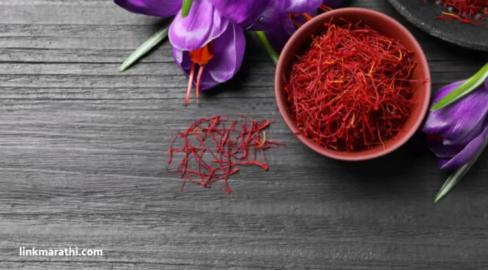 Saffron Benefits:केशर तुमच्या आरोग्यासाठी कसे फायदेशीर ठरू शकते ?|How Saffron Could Benefit Your Health ? Saffron Benefits