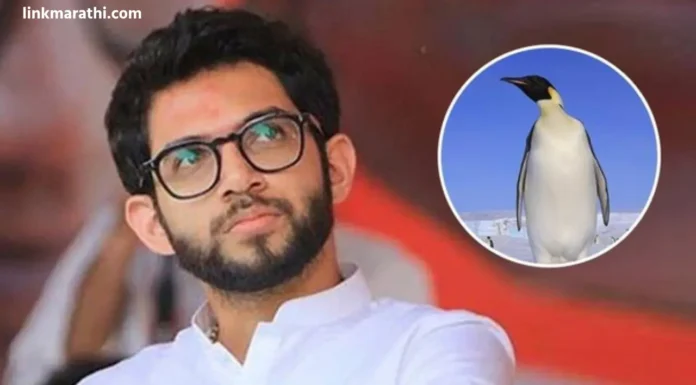 Aditya Thackeray : “ते मला पेंग्विन म्हणतात, आणि मला ते मजेदार वाटते…,” काय आहे त्यामागची कहाणी?|They call me Penguin, and I think it’s funny…” What’s the story behind? Aditya Thackeray