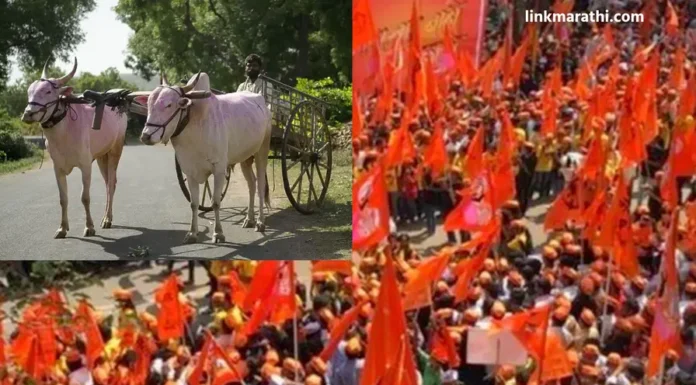 Maratha Community:आरक्षणासाठी शेतकरी बैलगाडी रॅलीचा प्रवास | Farmer Bullock Cart Rally Journey for Reservation Maratha Community